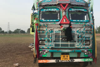 Truck carrying cattle to Odisha was caught in Raigarh