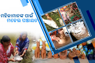 ଏମିତି ପଞ୍ଚାୟତ ଯେଉଁଠି ସବୁ ମହିଳା ସ୍ୱାବଲମ୍ବୀ