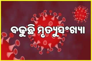 ଗୋଟିଏ ଦିନରେ 27ମୃତ