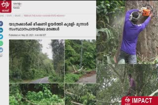 Dangerous trees are being cut down  action following the 'ETV' news  മരങ്ങൾ മുറിച്ച്‌ മാറ്റുന്നു  നടപടി 'ഇടിവി' വാർത്തയെത്തുടർന്ന്‌  ഇടുക്കി വാർത്ത