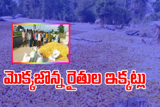 Corn farmers protest