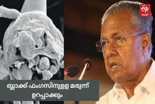 CM said that the medicine for black fungus will be ensured in the state  സംസ്ഥാനത്ത് ബ്ലാക്ക് ഫംഗസ്  സംസ്ഥാനത്ത് ബ്ലാക്ക് ഫംഗസിനുളള മരുന്ന് ഉറപ്പാക്കുമെന്ന് മുഖ്യമന്ത്രി  ബ്ലാക്ക് ഫംഗസ് ചികിത്സ  ഡെങ്കിപ്പനി രോഗബാധ