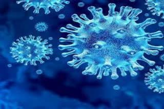 corona virus report of ghaziabad