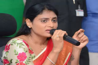 ys Sharmila on Telangana cm kcr