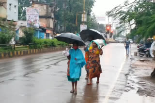 Impact of 'Taukte' storm seen in Bastar of the state