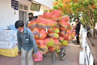 Tripura's unique jackfruits set for UK journey