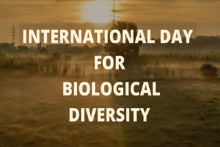 International Day for Biological Diversity, climate change