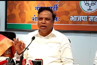 Ashish Shelar