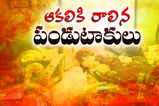 old couple dead with starvation in mancherial district