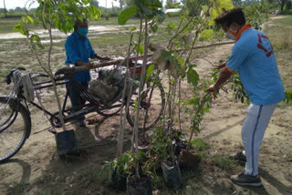 tribute paid by planting trees in modinagar ghaziabad by pahal ek prayas