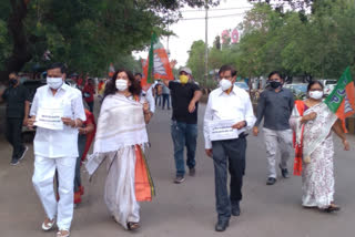 Rajya Sabha MP Saroj Pandey