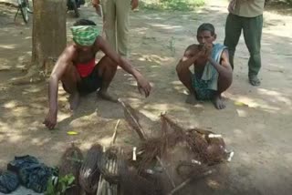 forest-department-seized-8-kg-of-meat-of-barha-in-ganjam