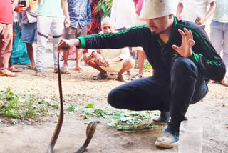 woman died of snake bite in Baramati