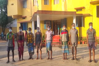 eight-naxalites-arrested-by-security-forces-in-narayanpur