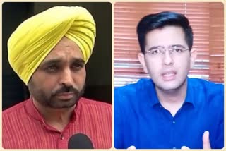 Bhagwant Mann and Raghav Chadha wrote letters to PM