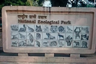 Delhi Zoo