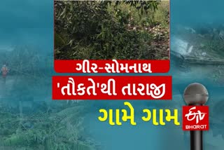 વાવાઝોડાથી નુકસાનગ્રસ્ત ખેતીવાડી વિસ્તારોની મુલાકાત લેતા કૃષિપ્રધાન આર.સી.ફળદુ