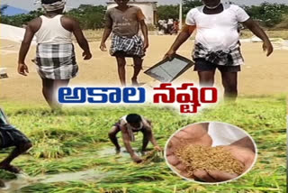 ap rains, ap rains updates, ap farmers