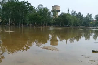 waterlogging in janakpuri park