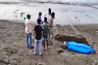 Eight decomposed bodies wash up on Raigad beaches