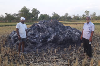 paddy-crop-burnt-in-gondia