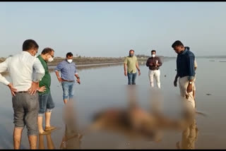 Bodies wash ashore along Maharashtra, Gujarat coasts