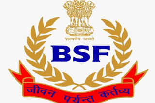 BSF hands over two Pakistani