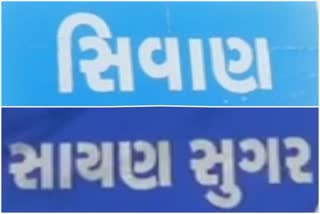 સાયણ શુગર તૌકતે વાવાઝોડામાં નુક્સાનગ્રસ્ત થયેલી શેરડીનું વળતર આપતા ઉભા પાક પર ટ્રેક્ટર ફેરવ્યું