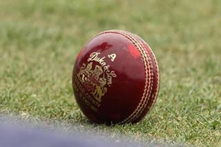 practising Duke ball in home condition could be helpful says new zealand cricketer Dwayne convey