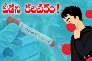 corona tests in telangana villages