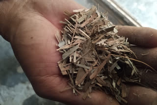 Bamboo leaf tea, Tripura's new introduction to the tea world
