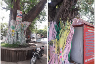 letter to chief secretary to stop painting on trees