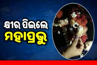 mahaprabhu jagannath drink milk in nayagarh