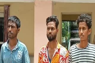 3 accused of stealing animals arrested