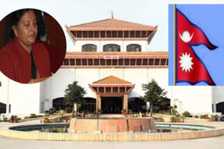 Nepal's Opposition files writ petition against Prez's 'unconstitutional' House dissolution