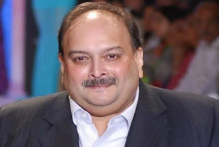 Mehul Choksi