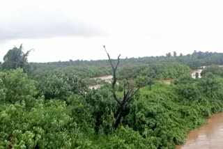 Puttur