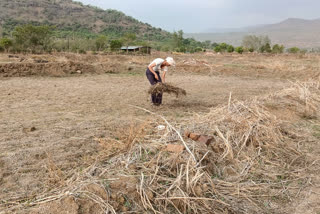 Kharif pre-cultivation begins in Khalapur