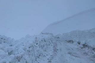manali leh road closed due to snowfall