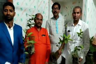 suhana-village-young-man-marries-51-plants-with-dowry