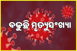 ରାଜ୍ଯରେ ଦିନକରେ ଗଲା 33 ଜୀବନ