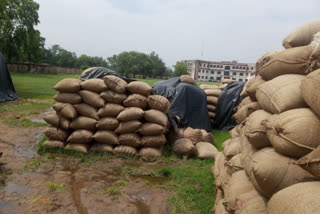 Garhwa farmers are upset, awaiting paddy sale