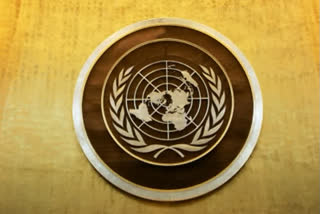 UN Security Council