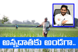 ముఖ్యమంత్రి జగన్​మోహన్ రెడ్డి