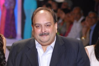 Mehul Choksi has no reason to leave Antigua, claims his lawyer