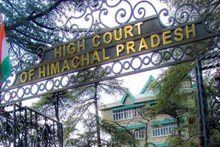 himachal high court news, हिमाचल हाई कोर्ट न्यूज