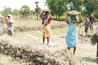 MNREGA employment in Sukma