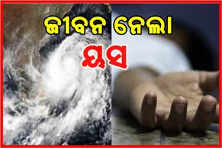 ବାତ୍ୟା ୟସର ପ୍ରଭାବରେ ଗଛ ଡାଳ ଭାଙ୍ଗି ଜଣେ ମୃତ