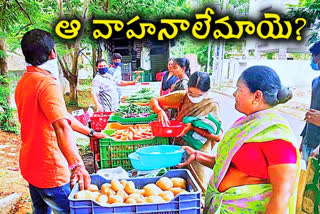 demand for Nomadic vegetable stalls in telangana