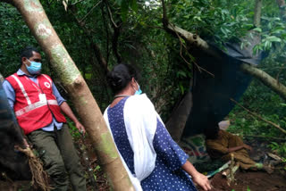 Kerala: Woman gives birth inside forest